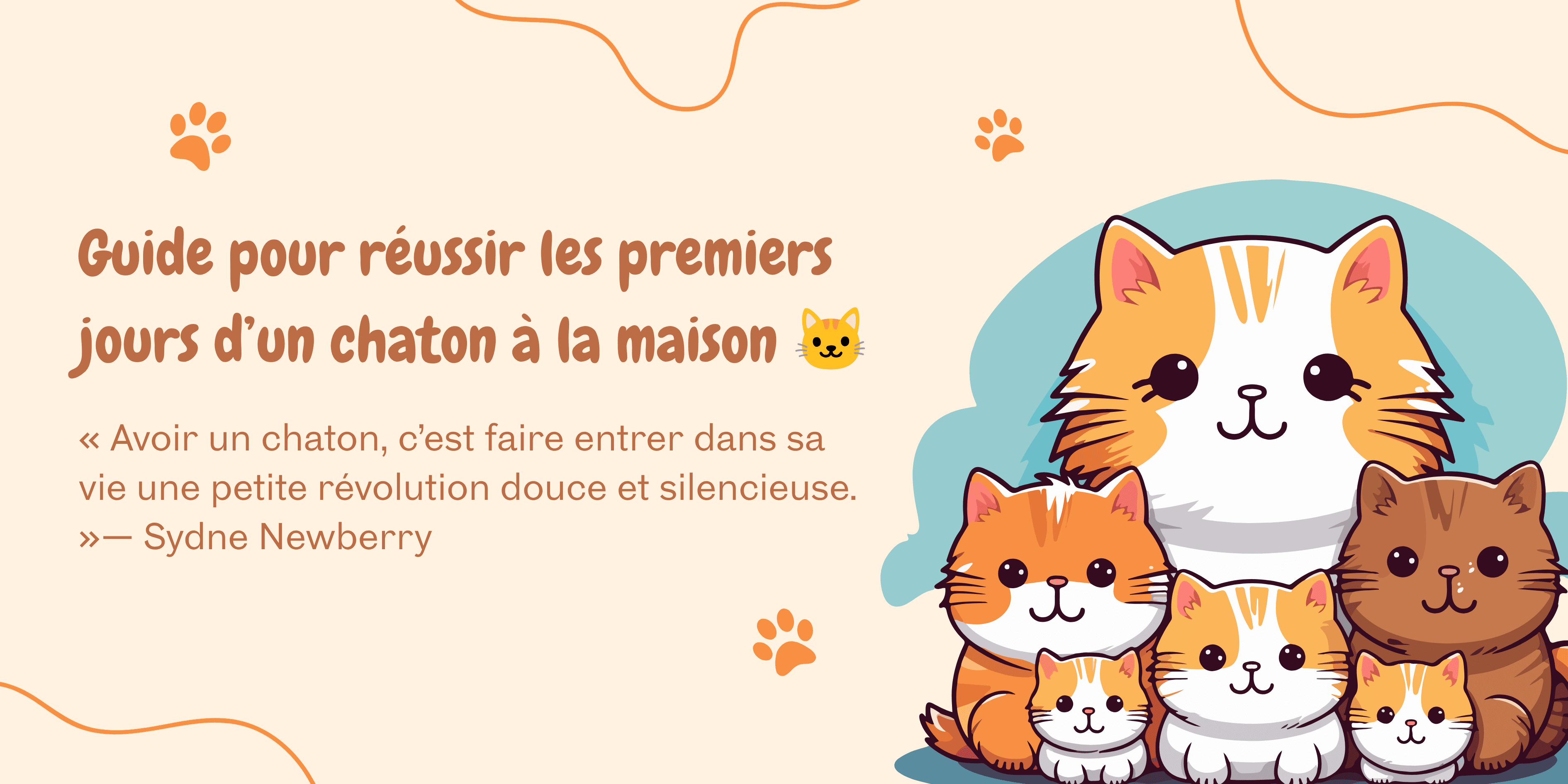 Guide pour réussir les premiers jours d’un chaton à la maison 🐱